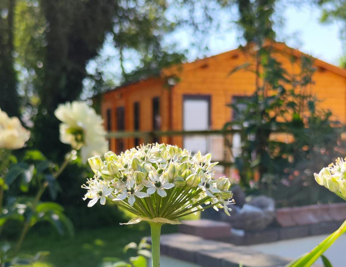 Desart School Garden Chalet Κίλκενι Εξωτερικό φωτογραφία