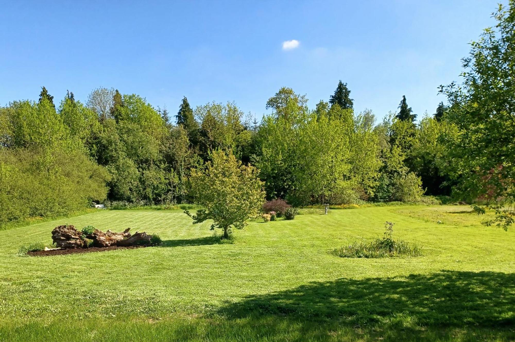Desart School Garden Chalet Κίλκενι Εξωτερικό φωτογραφία